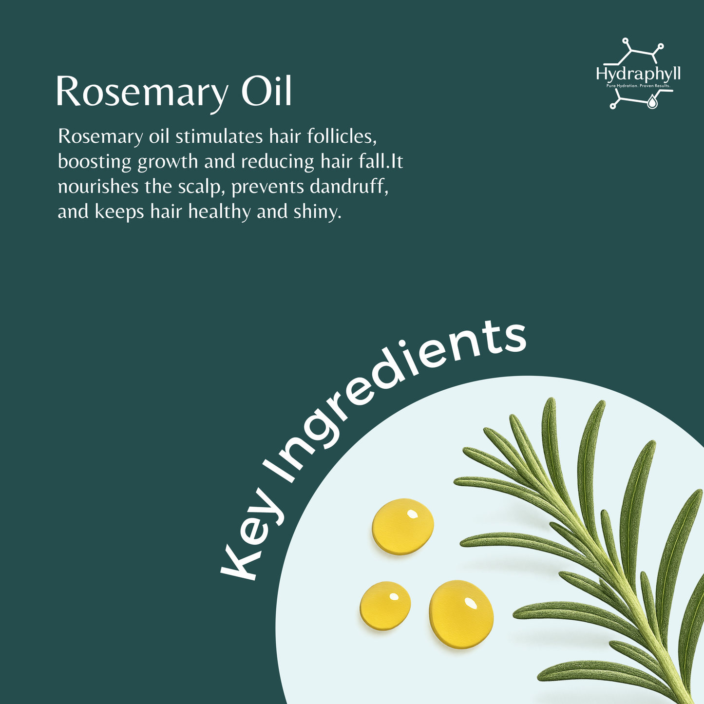 Hydraphyll™ Hair Growth Oil – Rosemary Mint with Biotin | Scalp Nourishment & Split-End Care